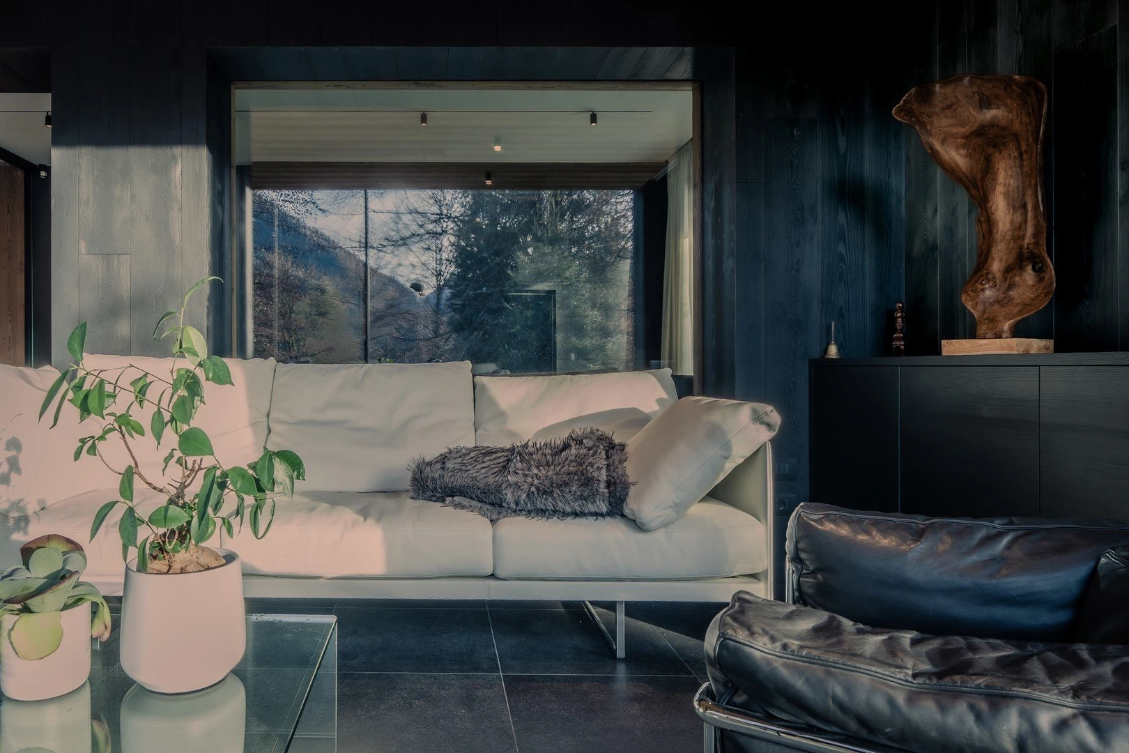 Immagine Slider